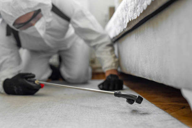 Professional Pest Control technician working in Follansbee, WV