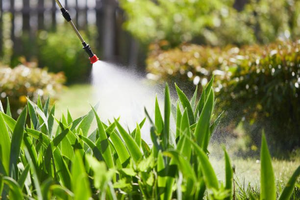 24/7 Emergency Fumigation Services experts in Follansbee, WV