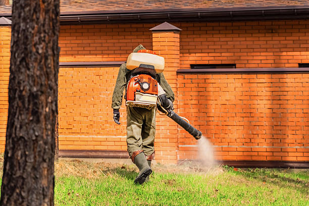 Trusted Cockroach Control service in Follansbee, WV - Nex Pest Control